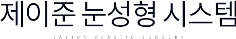 제이준눈성형시스템
