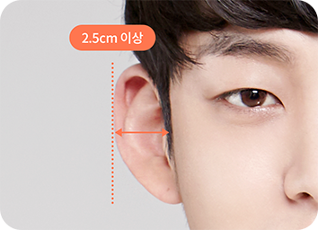 돌출귀 기준 이미지