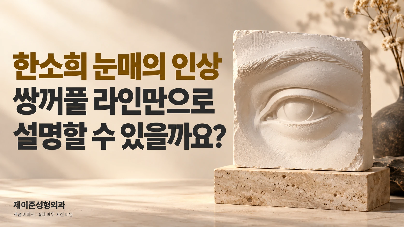 한소희 눈매 참고 상담에 관한 제목과 배우와 무관한 눈 주변 석고 조각 개념 이미지